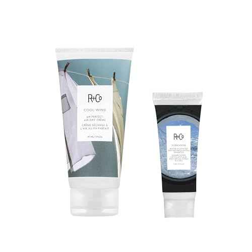 R+Co Cool Wind pH Perfect Air Dry Hair Cream | Hydrates + Tames + Softens | Vegan + Cruelty-Free |