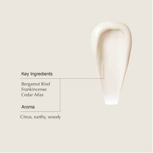 Aesop Conditioner | Soften and Hydrate All Hair Types | Nourishing Formula Enriched With Amino Acids | Citrus, Earthy, Woody | 16.9 oz / 500mL