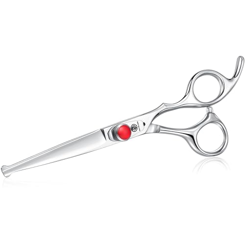6" Kids Hair Cutting Scissors Shears Safety Rounded Tips Kids Haircut Scissors for Children Baby Toddler Girls Boys Japanese Stainless Steel Silver Christmas Thanksgiving Gift Dragon Creek