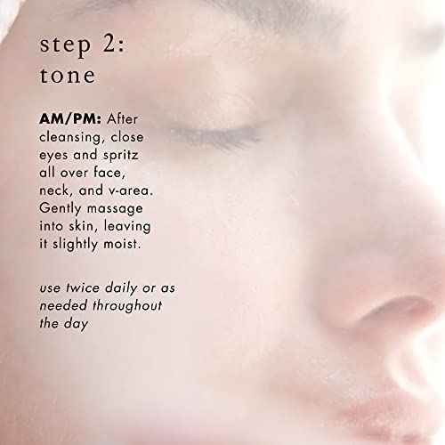 Bioelements 3-Step Starter Set: Oily Skin - Includes Decongestant Cleanser, Equalizer Toner & Beyond Hydration Moisturizer