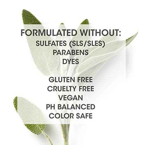 SEVEN Hair Care Satara Volume Conditioner for Women & Men, Sulfate + Paraben Free, Cruelty Free, Argan Oil, Pro Vitamin B5, Hydrolyzed Quinoa, Grapeseed Oil for Flat + Limp Hair Made in USA