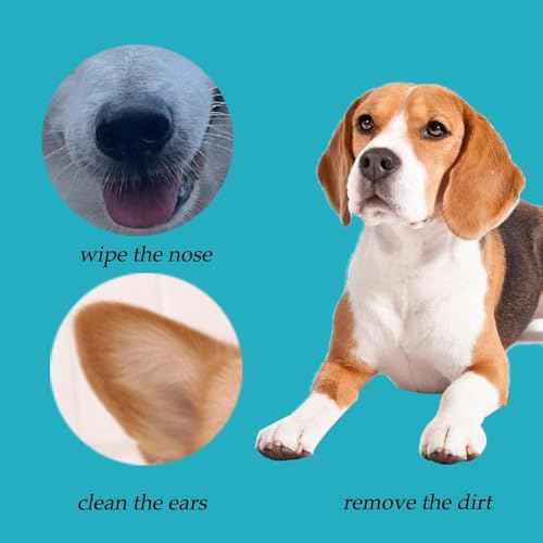 6 Inch Long Cotton Swabs (Large Size) 100pcs,Large Cotton Buds with Bamboo Handle for Pets, Gun Cleaning or Makeup