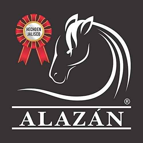 ALAZAN SHAMPOO OF HORSE, FOR HUMAN USE, WITH CHILE AND SABILA FOR OILY HAIR