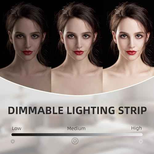 VANITII Vanity Mirror with Lights 12¡±x16¡± Hollywood Makeup Mirror with 10X Magnification and Free Rotation Dimmable 3 Color Modes Smart Touch LED Mirror