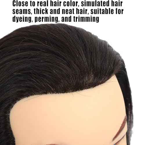 Male Mannequin Head with Beard 100% Human Hair Haircut Manikin Head for Cosmetology Straight Thick Hair Doll Head with Human Hair with Stand Practice Cutting Styling