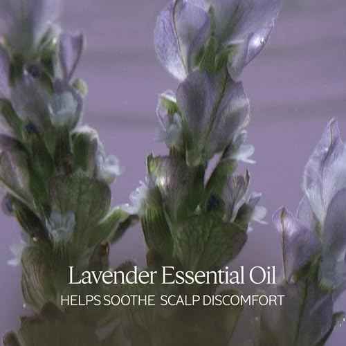 L'OCCITANE Aromachologie Gentle & Balance Conditioner 16.90 fl.oz