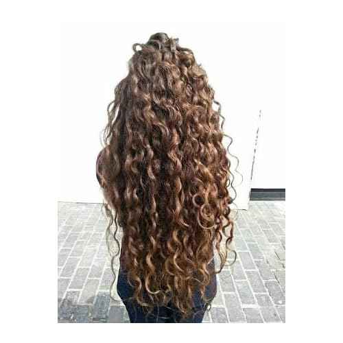 ALAZAN SHAMPOO OF HORSE, FOR HUMAN USE, WITH CHILE AND SABILA FOR OILY HAIR