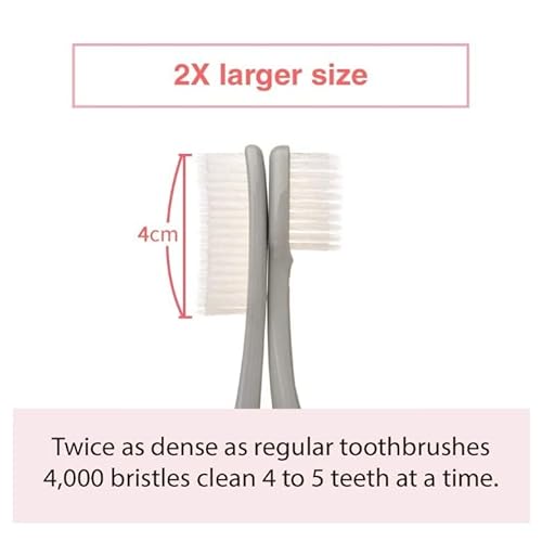 Wangta Soft Toothbrush, 10 Pack (Stone White) ? Best Manual Toothbrush for Maximum, Efficient Cleaning and Sensitive Gums and Teeth