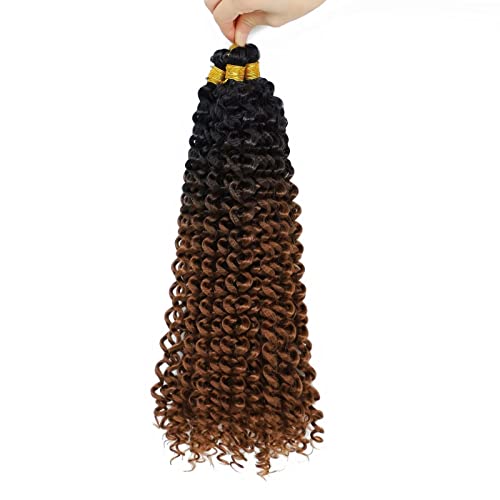 Aliabsion Ombre Brown Afro Kinky Curly Braiding Hair Extensions Water Curl Crochet Hair 3pcs 14inch Crochet Curly Braid Hair Black to Brown Short Synthetic Hair Styles (1b/30)