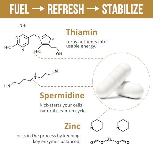 Spermidine Supplements 13mg - 1300mg Wheat Germ Extract Capsules Potent Formula with Higher Spermidine Content and Zinc for Healthy Aging, Daily Immune System and Cell Renewal, 120 Capsules