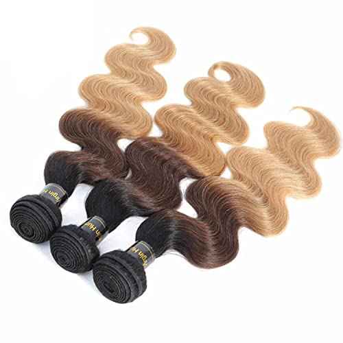 Shining Girl 12A Ombre Body Wave Bundles With Closure Brazilian Virgin Remy 100% Human Hair Ombre 3 Tone T1B/4/27 Color Human Hair Extensions 3 Bundles with 4x4 Lace Closure (16 18 20+14, 1B#/4#/27#)