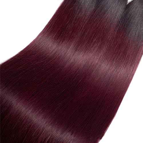 1B99j Bundles Burgundy Straight Human Hair Bundles Brazilian Virgin Human Hair 18 20 22 inch Two Tone Black To Burgundy Bundle Double Weft 1B99j Straight Hair Extensions