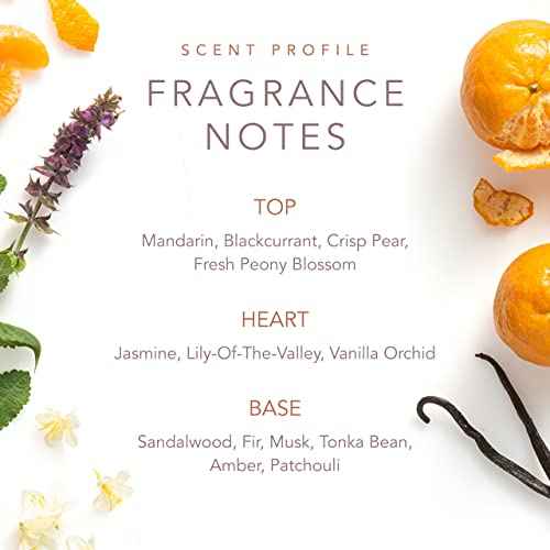 SCENT BEAUTY Dolly Parton Scent from Above Eau de Toilette Perfume Eau de Parfum for Women - Fruity, Floral & Feminine Fragrance with Notes of Mandarin, Jasmine, and Sandalwood - 1.7 Fl Oz