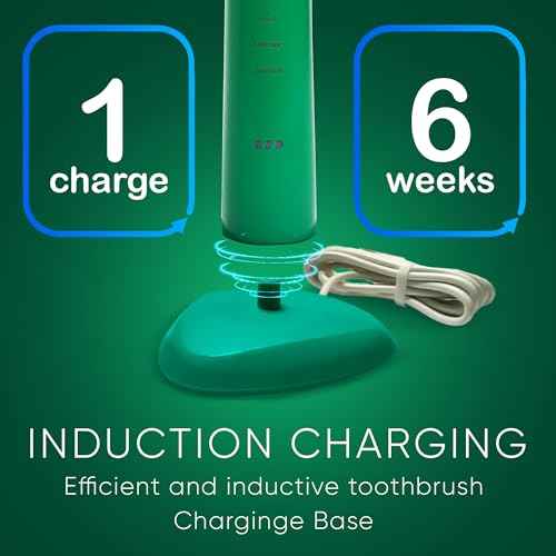 BIG MOUTH TOOTHBRUSH Dr Bobbi Electric Toothbrush for Adults Ultrasonic Rechargeable Toothbrush with 5 Cleaning Modes & 2-Minute Smart Timer Retains 42-Day Battery Travel-Ready Design ? (Green)