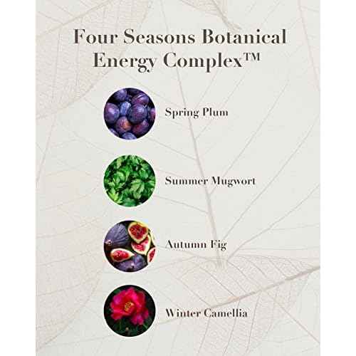 Sooryehan THE SAGA OF SOO BOTANICAL ENERGY (360 ml / 12.17 Fl Oz) - Korean Skincare Gift Set by LG BEAUTY. Botanical Energy Boosting Toner, Balancing Moisturizer, Cream, Foam Cleanser.
