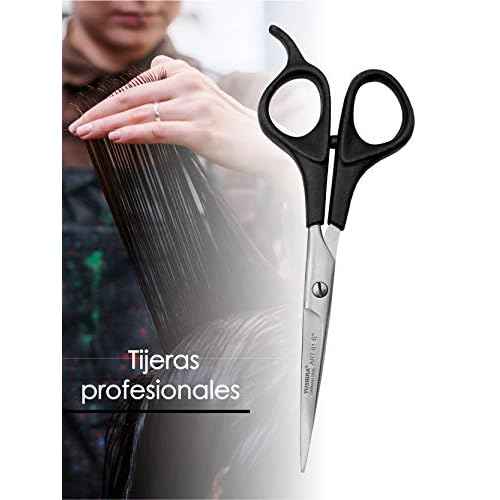 Professional Hair Cutting Scissors, Compact, Black, Stainless Steel