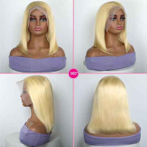 Honey Blonde 613 Bob Wig Human Hair 13x4 HD Lace Front Glueless Wigs Pre Plucked Pre Cut 100% Unprocessed Brazilian Raw Blonde Human Hair Wigs for Black Women - 12 Inch Blonde Bob Wig
