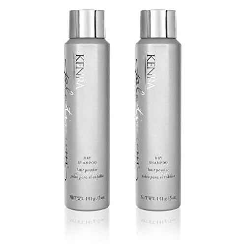 Platinum Dry Shampoo | Oil Absorbing Spray | Instantly Revives & Refreshes Hair | Saves Time & Extends Blowouts | All Hair Types