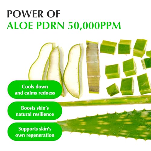 EQQUALBERRY Aloe PDRN Calming Smoothie Serum ? Soothing Korean Skin Care for Sensitive Skin, Cica & Aloe for Repair, Hydrating & Radiant Glow, Non-Comedogenic (1.01oz / 30ml)