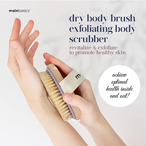 MainBasics Dry Brushing Body Brush for Lymphatic Drainage, Dry Skin, Cellulite, Blood Circulation with Exfoliating Natural Bristles for Flawless Skin