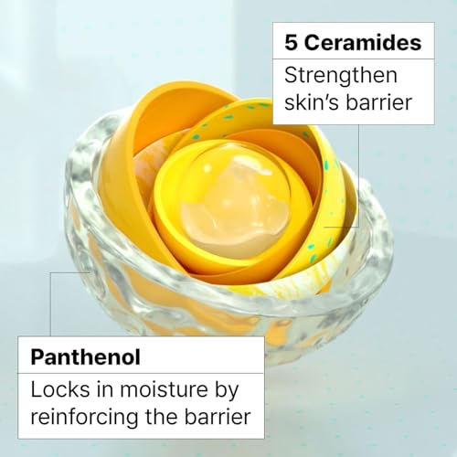 Dr.Jart+ Ceramidin Skin Barrier Korean Face Cream Moisturizer with Ceramides and Panthenol | Korean Skin Care