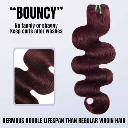 13A Double Drawn 99J Dark Burgundy Human Hair Bundles Body Wave, Double Lifespan Than Regular Bundle Keep Silky & Soft After Washes Colored #99J Wine Single Bundles Raw Hair Quick Weave 10 IN