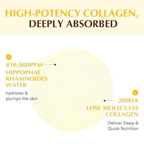 EQQUALBERRY Collagen Glow Up Gel Toner Pads ? Brightening Korean Jelly Pad with Deep Absorption Collagen, Hydrating & Glow-Boosting Formula, 4.73 FL.OZ. (140ml) / 60 Pads