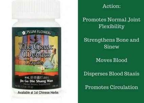 The Great Mender Teapills (Jin Gu Die Shang Wan) 200 pills