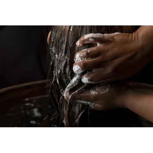 Aesop Shampoo | Soften Hair, Restore Shine | Bergamot Rind, Frankincense, Cedar Atlas | 16.9 oz / 500mL