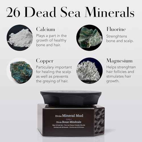 Saphira Divine Mineral Mud for Curly and Wavy Hair, Hair Moisturizer and Deep Conditioning Hair Mask for Shine and Bounce, Sulfate-Free, Paraben-Free, Vegan, 16.9 Ounce
