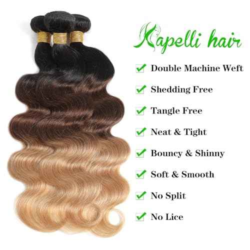 10A Ombre Human Hair Bundles With Closure 100% Brazilian Virgin Human Hair Body Wave Ombre Hair 3 Tone Black to Blonde Brazilian Remy Hair Bundles (T1B/4/27,16 18 20+14)