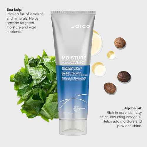 Moisture Recovery Treatment Balm | For Thick, Coarse, Dry Hair | Restore Moisture, Smoothness, Strength, & Elasticity | Reduce Breakage & Frizz | With Jojoba Oil & Shea Butter | 8.5 Fl Oz (Pack of 2)