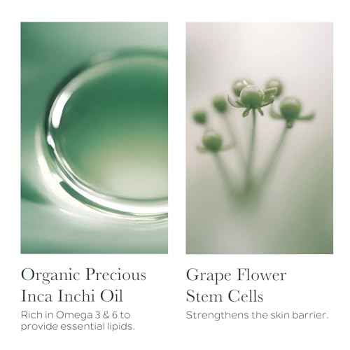 SOTHYS Ultra-Rich Nutritive Replenishing Cream | Daily Face Moisturizer for Dry Skin, Ultra-Rich Texture to Hydrate and Nourish