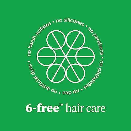 Briogeo Superfoods Banana + Coconut Hair Pack, Replenish Dull, Dry Hair and Supports Healthy Hair and Scalp, Moisturizing for All Hair Textures, Hydrating Cleanse, Vegan, Cruelty-Free, 2 x 12.5 fl oz