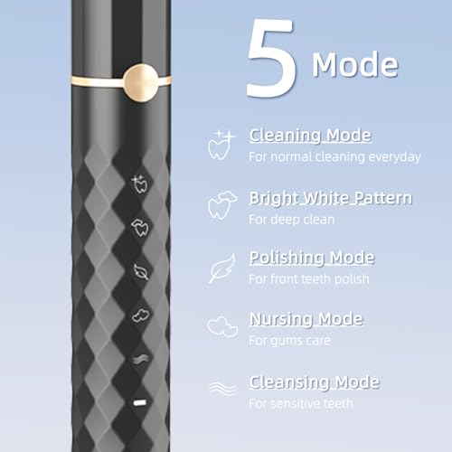 Electric Toothbrush Set, Equipped with 10 Brush Heads and Travel case, IPX8 Waterproof, 2-Minute Timer, 42000 high-Frequency Vibrations, 5 Modes, The First Choice for Gift Giving