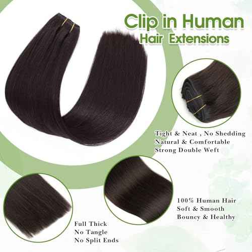Natural Black Seamless Clip in Hair Extensions Real Human Hair 22inch Clip ins Human Hair Extensions Straight Clips in 100% Clip in Extensions Human Hair for Women 8pcs Double Weft