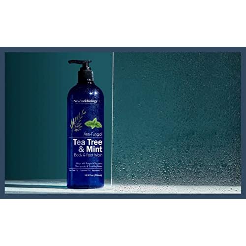 New York Biology Tea Tree Mint Body Wash for Men and Women - Moisturizing Body Wash Helps Soothe the Skin - Refreshing and Hydrating Cleanser for Body and Feet - 16.9 Fl Oz (Pack of 2)