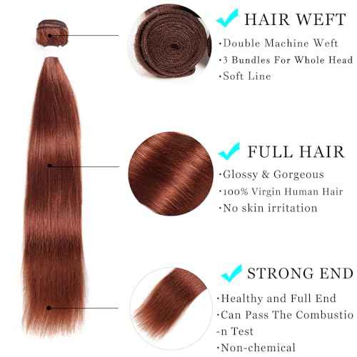 ijoy Human Hair Bundles with Closure Straight 12 14 16 +C12 Inch Brazilian Reddish Brown 3 Bundles with 4x4 HD Lace Closure Free Part 33# Color