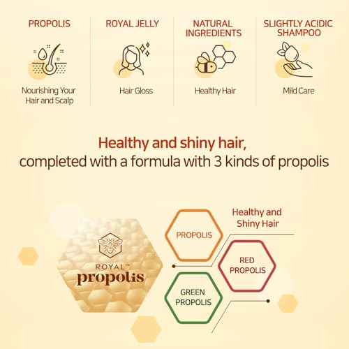Kerasys Propolis Royal Jelly Extract Green Tea Olive Oil Shiny and Healthy Hair Propolis Green Moisture 33.8 fl oz / 1L (Shampoo + Treatment Set)