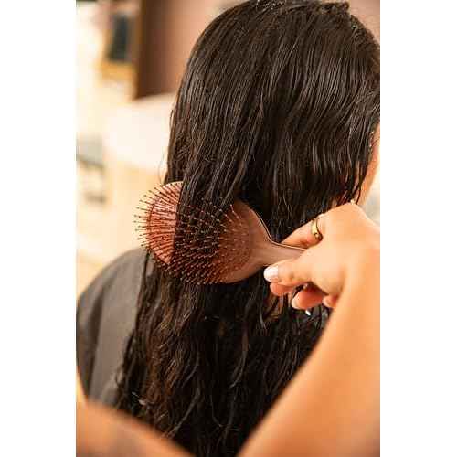FRAMAR Chocolate Hair Brush Detangler ? Wet Hair Brushes For Women, Womens Hair Brush, Hair Accessories, Hairbrush For Women, Cepillos Para Cabello, Reduces Breakage ? Detangle Brush