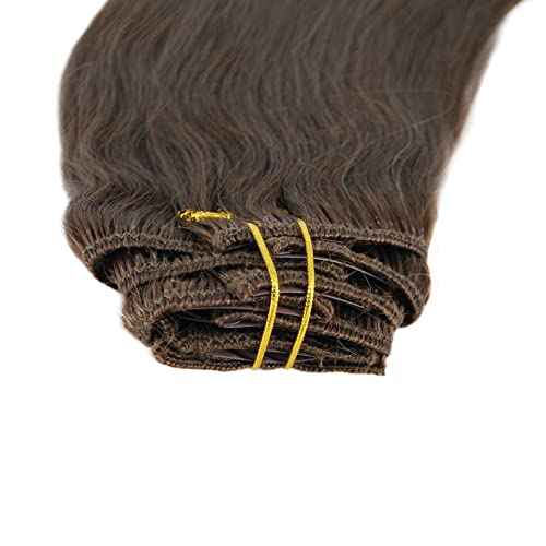 Clip In Hair Extensions Real Human Hair Brown Natural Remy Hair Straight 4# 20" 100gm (20", 4#-Medium Brown)