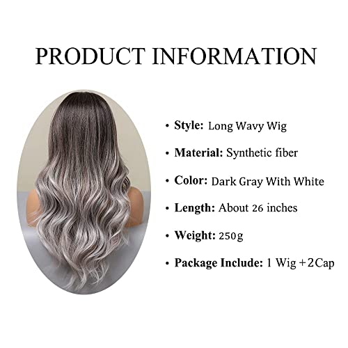 Haoland 26 Inch Long Gray Wig For Women Ombre Gray With Dark Roots Wavy Wig Middle Part Synthetic Wig For Cosplay Daily Party Use