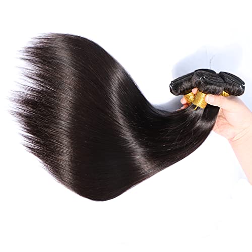 Selina Brazilian Virgin Hair Straight 8 10 12 14Inch (100g/3.52Oz,Natural Black Color) Human Hair Weave 100% Unprocessed Human Hair Bundles Straight Remy Hair Extensions (8" 10" 12" 14", Straight)