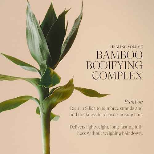 L'ANZA Healing Volume Thickening Conditioner, Boosts Shine, Volume, and Thickness of Fine Flat Hair, Rich With Bamboo and Keratin, Luxury Hair Care