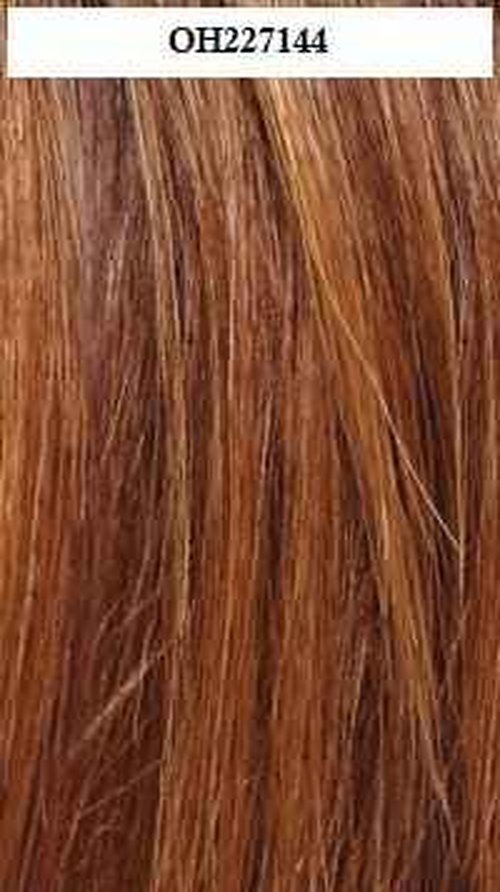 Freetress Equal Brazilian Natural Deep Invisible L Part Lace Front Wig DANITY (OH227144)