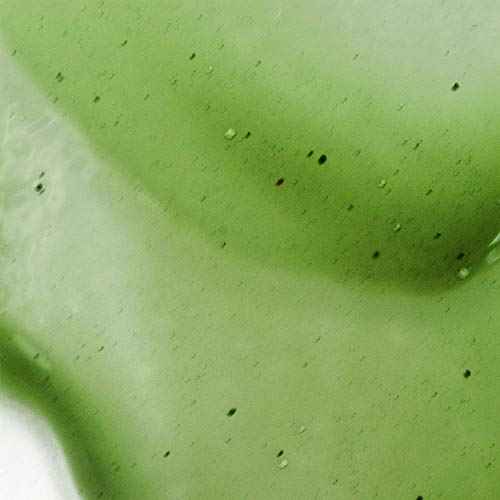 BioClarity Restore, Gel-Based Serum | 100% Vegan, Clean Ingredients | Contains Floralux Naturally made from Chlorophyll | 1.75 Fl Oz - 1 Pack