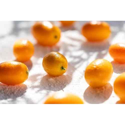 KORRES Eau de Toilette, Cashmere Kumquat Fragrance for Women and Men, Citrus Floral Woody Perfume with Orange Blossom, Vanilla & Cedarwood, Inspired by Greek Island Scents, 1.69 Fl Oz