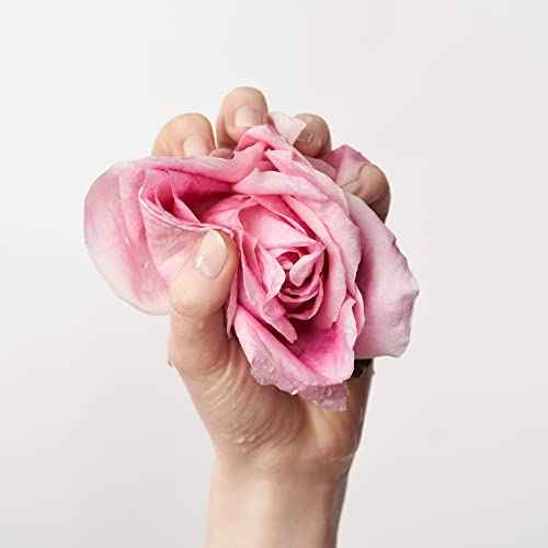 ANNEMARIE B?RLIND Oil Cleansing Milk 125ml Rose Nature All Skin Types