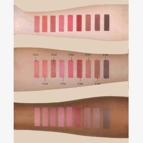 Flower Knows Little Angel Matte Lipstick,Super Soft & Ultra Silky Lip Mud Stick,Long Lasting & Moisturizing Vegan Lip Makeup for Girls&Women,Velvety Brown Finish(C09 Dark Angel)