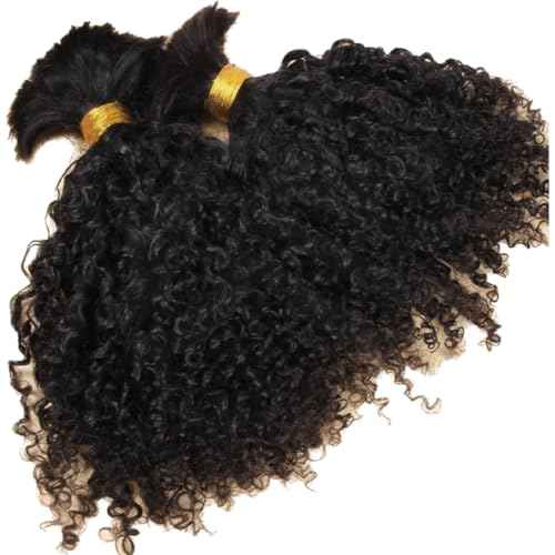 Afro Kinky Bulk Human Braiding 100% Unprocessed Brazilian Virgin Human Hair Extensions Micro Kinky Curly Braids Hair Braids Double Drown Full End Bulk Hair 14 Inch 300g